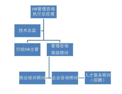 人力資源管理咨詢(xún)公司組織架構(gòu)及崗位職責(zé)